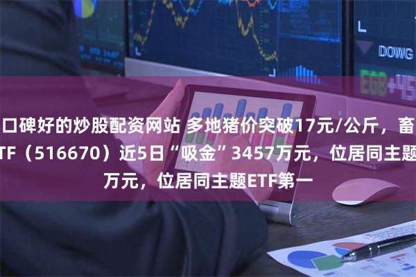 口碑好的炒股配资网站 多地猪价突破17元/公斤，畜牧养殖ETF（516670）近5日“吸金”3457万元，位居同主题ETF第一