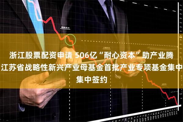 浙江股票配资申请 506亿“耐心资本”助产业腾飞！江苏省战略性新兴产业母基金首批产业专项基金集中签约