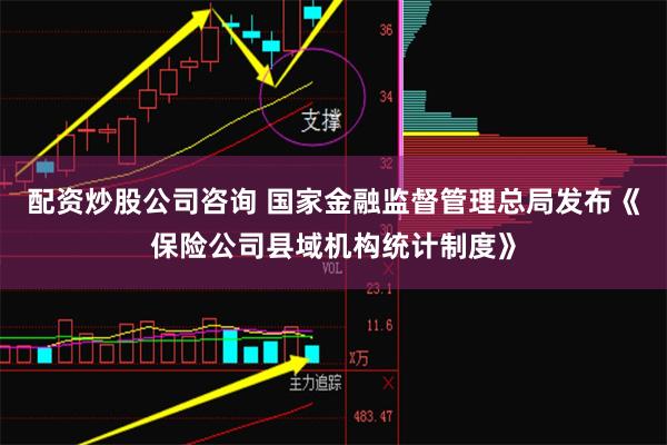 配资炒股公司咨询 国家金融监督管理总局发布《保险公司县域机构统计制度》