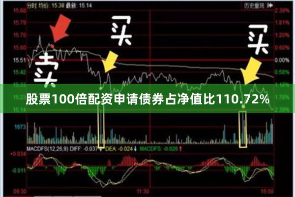 股票100倍配资申请债券占净值比110.72%