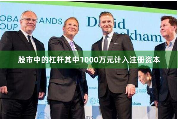 股市中的杠杆其中1000万元计入注册资本