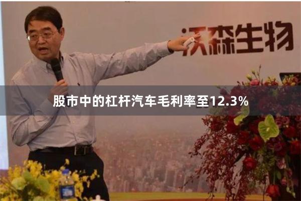 股市中的杠杆汽车毛利率至12.3%